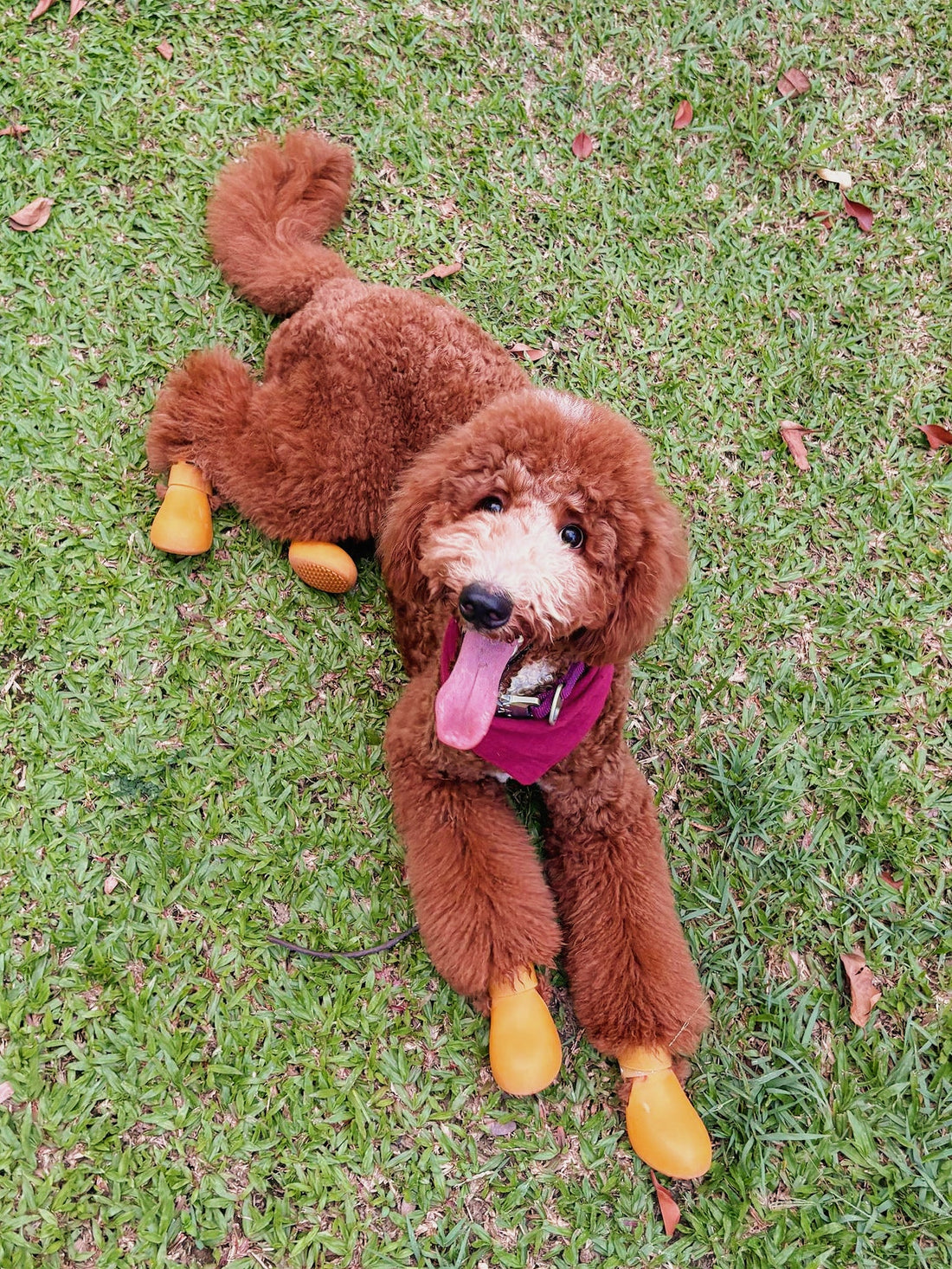 THE FLOOR IS LAVA (LITERALLY)