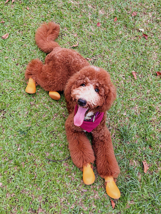 THE FLOOR IS LAVA (LITERALLY)